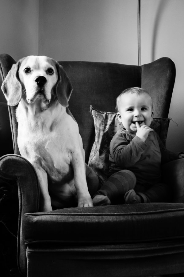 Egy baba és egy kutya két éve tartó barátsága képekben
