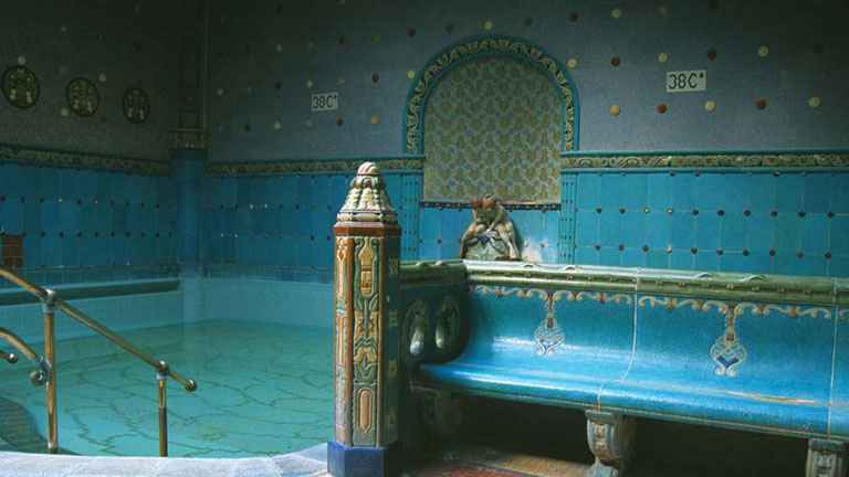 Egészség és vitalitás féláron a Zsigmondy kártyával (X)