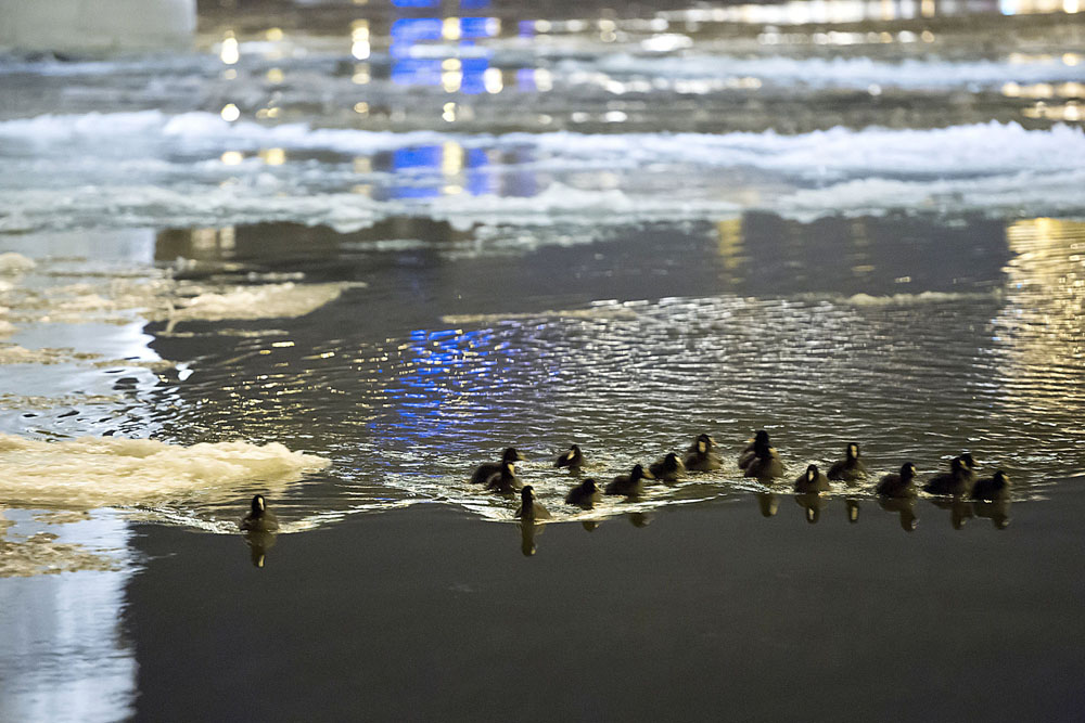 Fotó: MTI/Lakoatos Péter