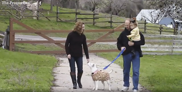 Kutyáját akarta menteni utolsó kívánságával a haldokló hajléktalan