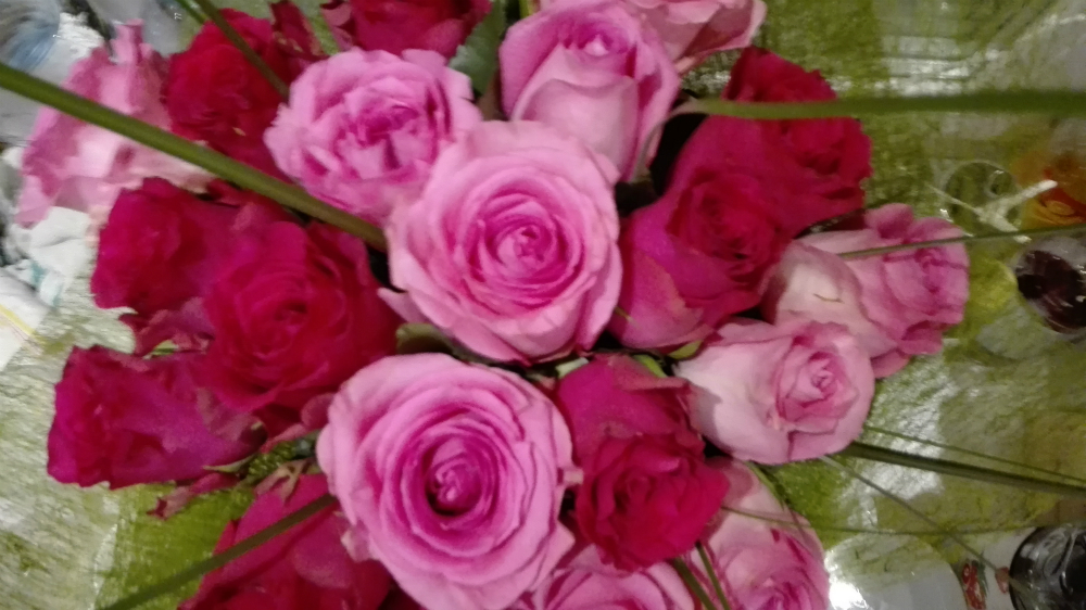 Peller Anna: beteges féltékenységből nyomoztam Mikike után