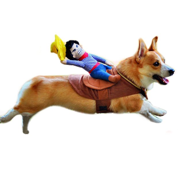 8 furcsa és egyben csodálatos jelmez kutyáknak