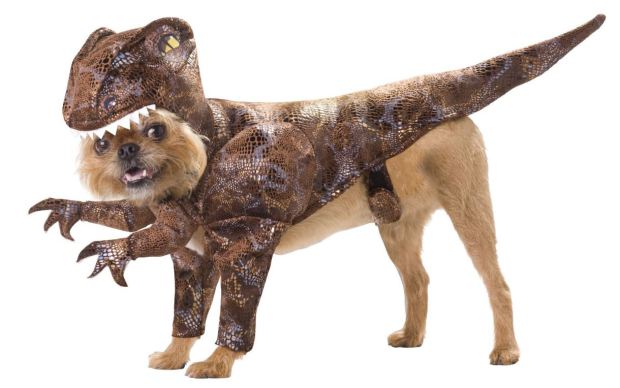 8 furcsa és egyben csodálatos jelmez kutyáknak