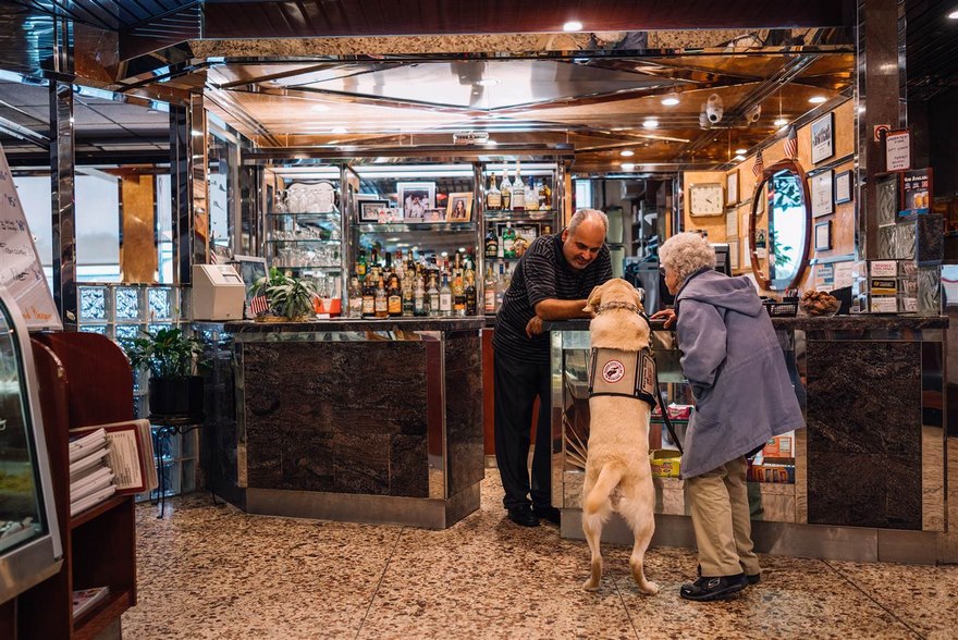 A lakásából sem lépett ki az idős nő, aztán szereztek mellé egy kutyát