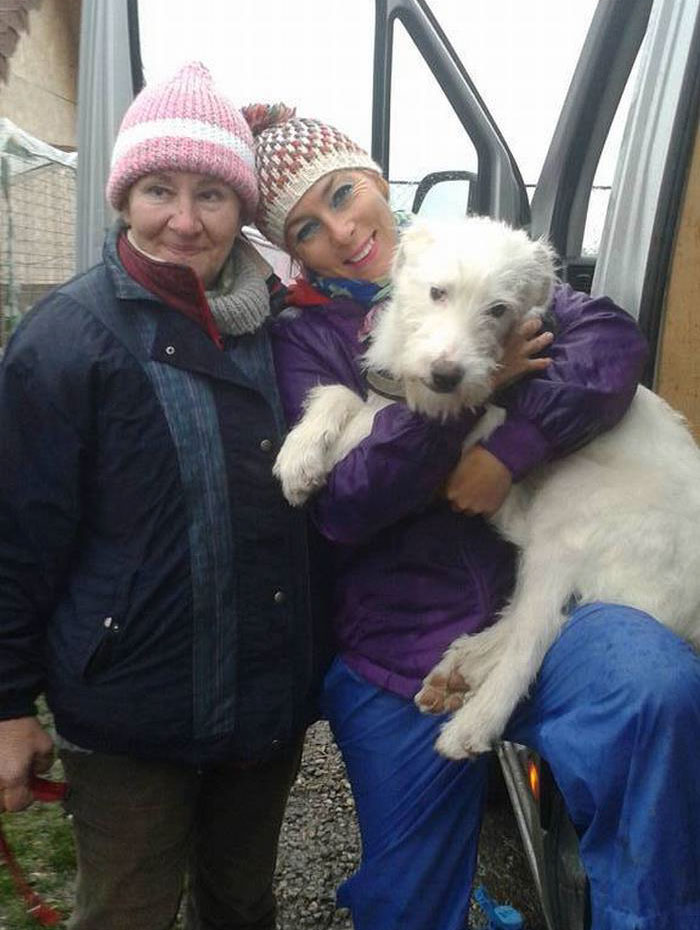 Már férgek ették a zsákba csavart kutyát - most boldog új családjával