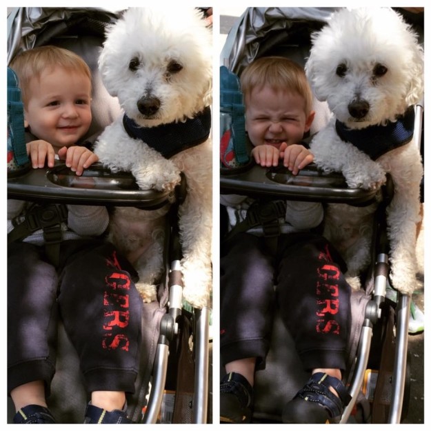 10 ok, amiért minden kisgyereknek kutyával kell felnőnie