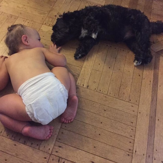 10 ok, amiért minden kisgyereknek kutyával kell felnőnie