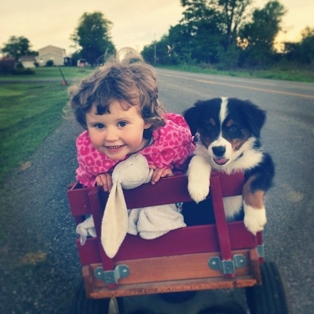 10 ok, amiért minden kisgyereknek kutyával kell felnőnie