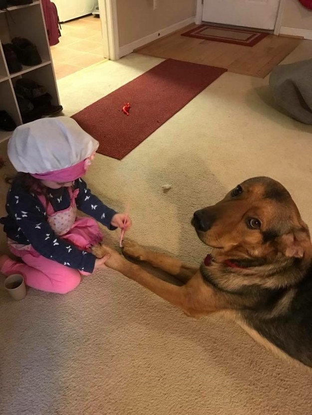 10 ok, amiért minden kisgyereknek kutyával kell felnőnie