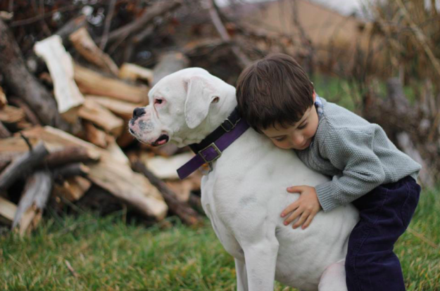 10 ok, amiért minden kisgyereknek kutyával kell felnőnie