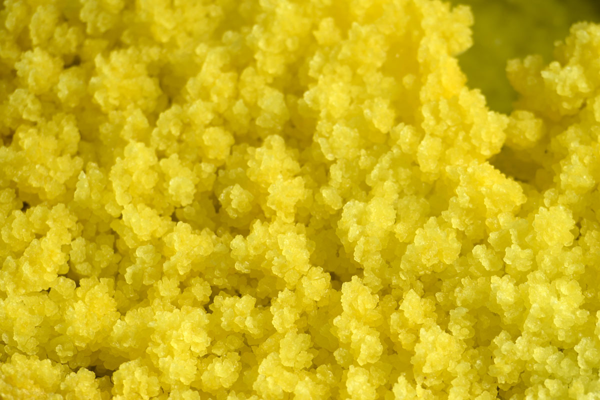 Ilyen az élet a só birodalmában Ilyen az élet a só birodalmában