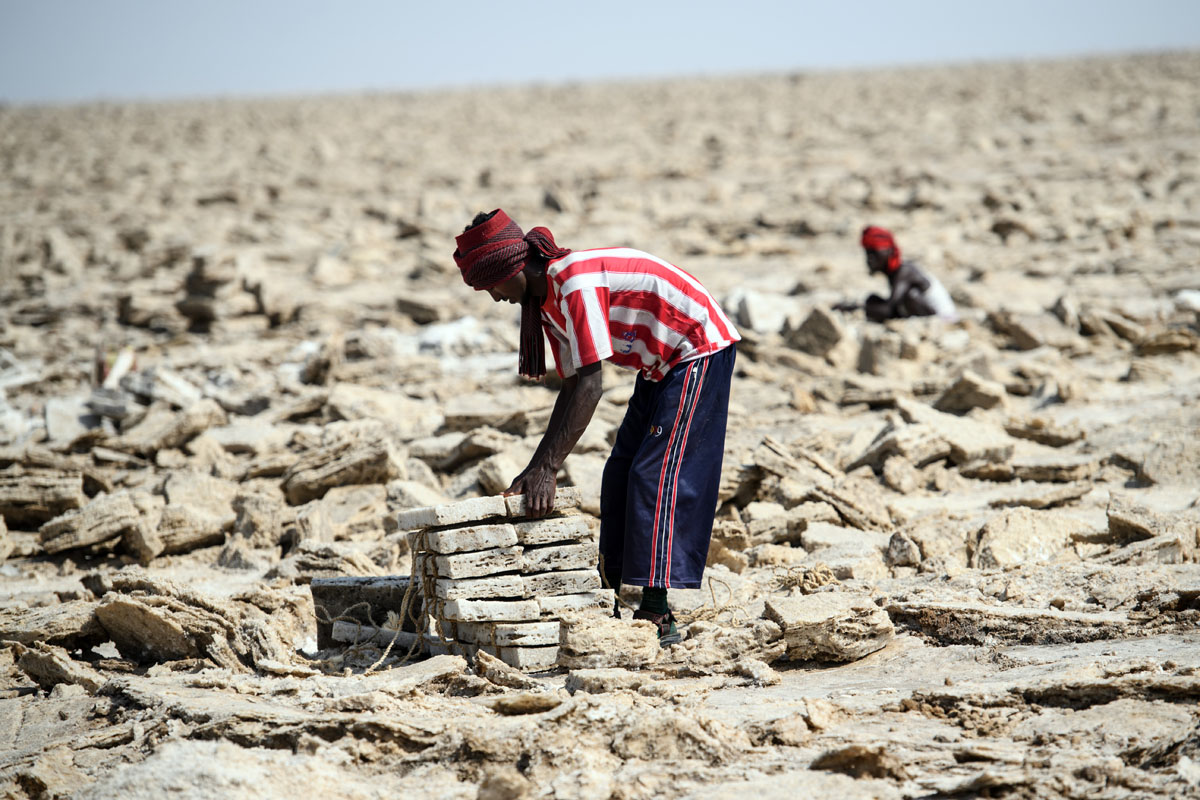 Ilyen az élet a só birodalmában Ilyen az élet a só birodalmában