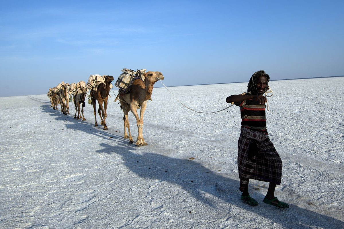 Ilyen az élet a só birodalmában Ilyen az élet a só birodalmában