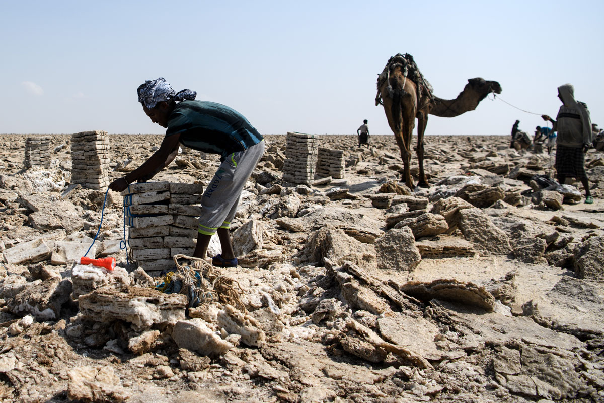 Ilyen az élet a só birodalmában Ilyen az élet a só birodalmában
