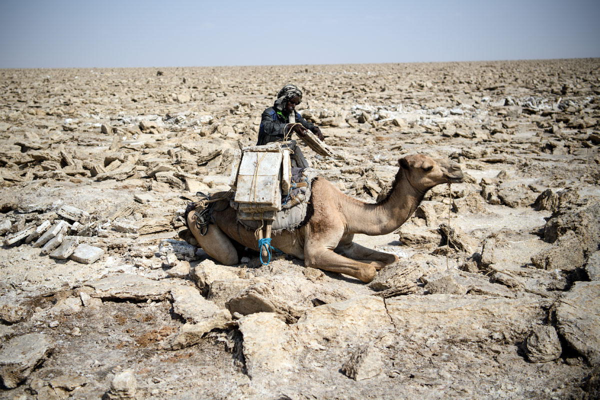 Ilyen az élet a só birodalmában Ilyen az élet a só birodalmában