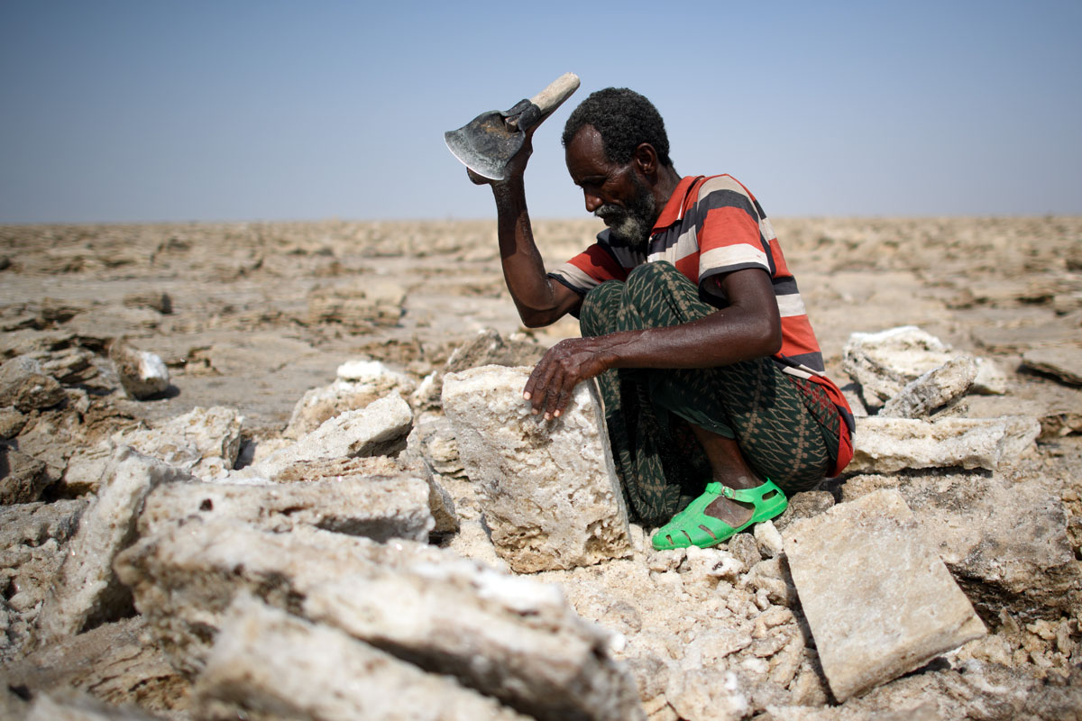 Ilyen az élet a só birodalmában Ilyen az élet a só birodalmában