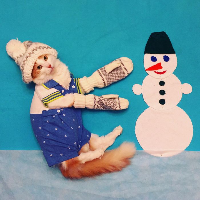 Cukiság: hihetetlen kalandokba keveredik a cicus