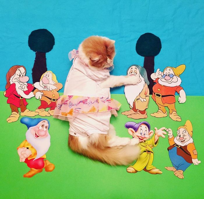 Cukiság: hihetetlen kalandokba keveredik a cicus