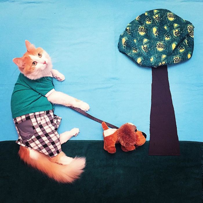 Cukiság: hihetetlen kalandokba keveredik a cicus