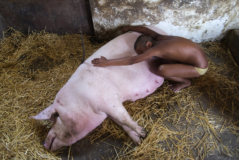 Társadalomábrázolás, dokumentarista fotográfia (sorozat) 1. díj: Sivák Zsófia: Józsiék
