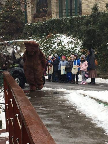 ÉLŐ: Az állatkertből jelentjük, hogy lesz-e árnyéka a medvének