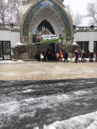 ÉLŐ: Az állatkertből jelentjük, hogy lesz-e árnyéka a medvének