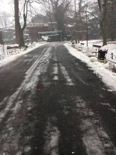 ÉLŐ: Az állatkertből jelentjük, hogy lesz-e árnyéka a medvének