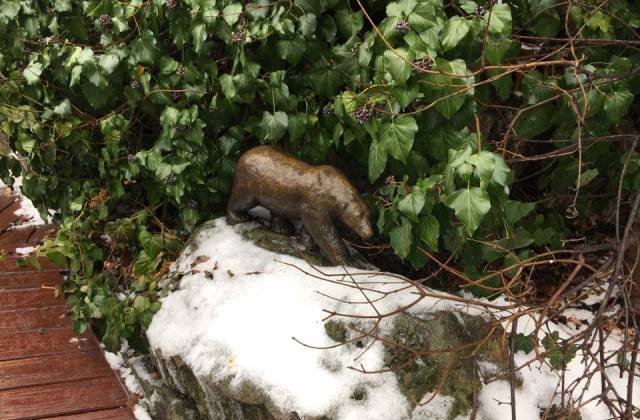 ÉLŐ: Az állatkertből jelentjük, hogy lesz-e árnyéka a medvének