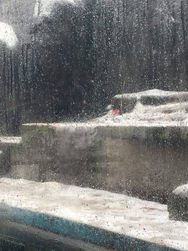 ÉLŐ: Az állatkertből jelentjük, hogy lesz-e árnyéka a medvének