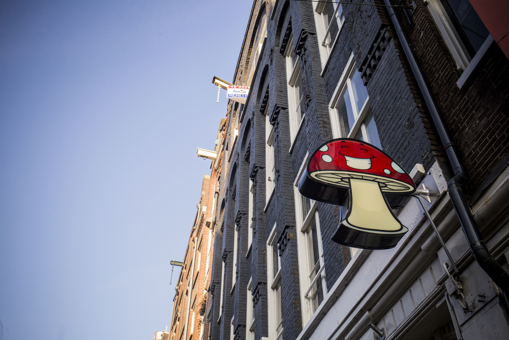 Hollandia égen-földön