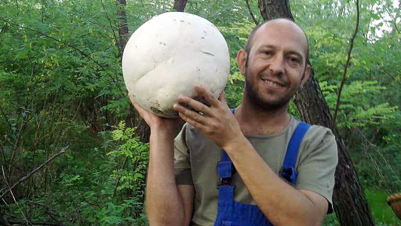 Tasnádi Tibor - Facebook