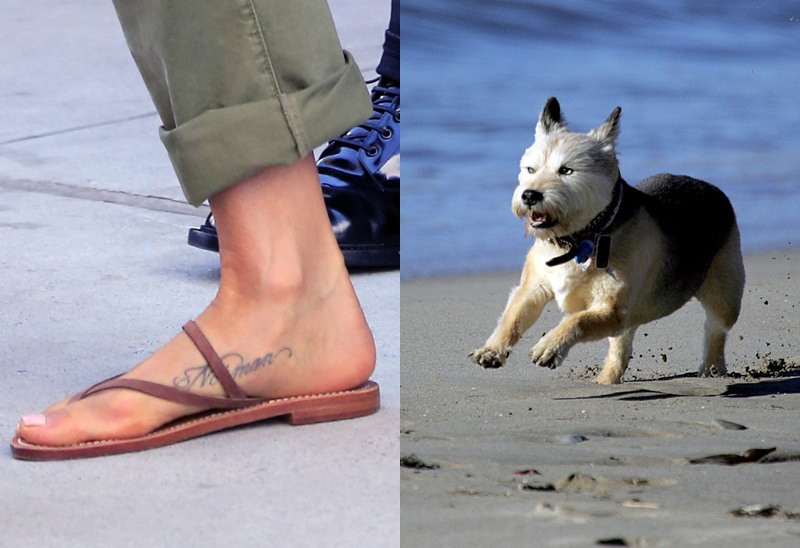 A tetoválás és Norman