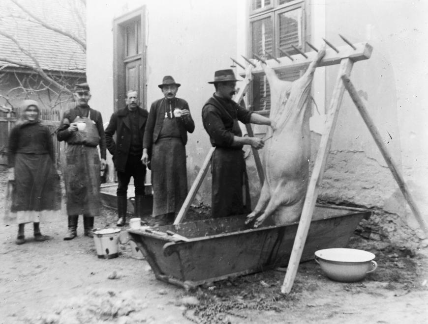 A disznóvágás nem bulika