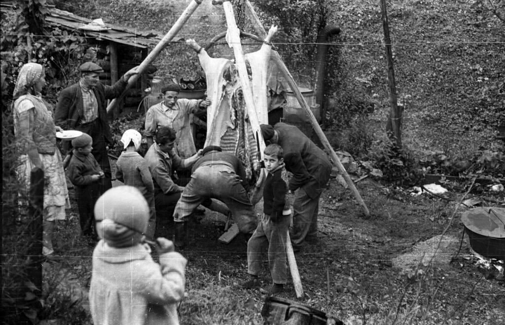 A disznóvágás nem bulika