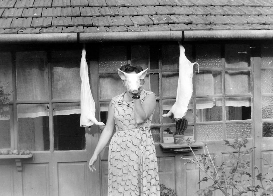 A disznóvágás nem bulika