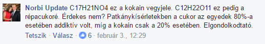 Demcsák Zsuzsa: Norbi, ne ronts a helyzeteden