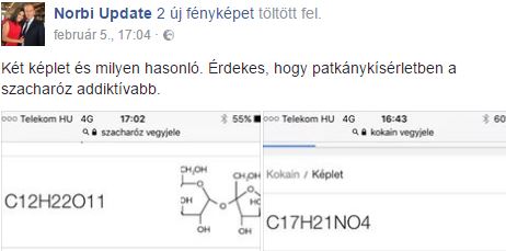 Demcsák Zsuzsa: Norbi, ne ronts a helyzeteden