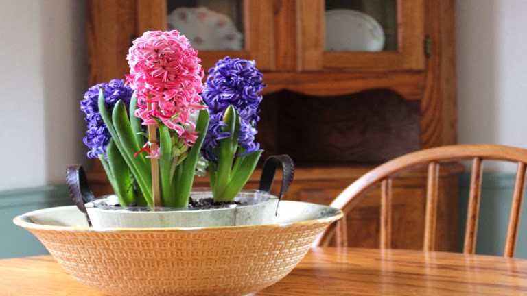 Dekorációs ötletek, amelyekkel tavaszt varázsolhatsz az otthonodba