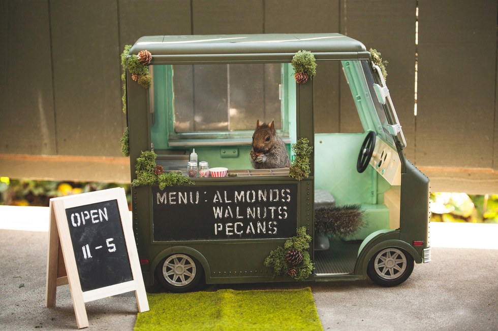 Menő kajapartikat rendez a környék mókusainak egy nő - cuki fotók