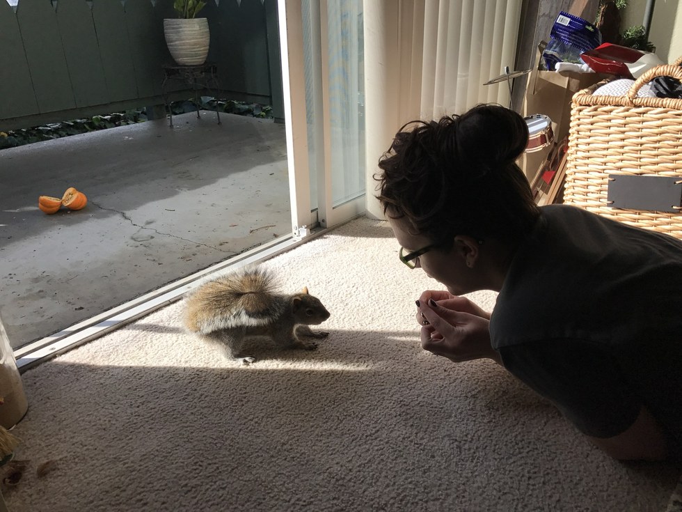 Menő kajapartikat rendez a környék mókusainak egy nő - cuki fotók