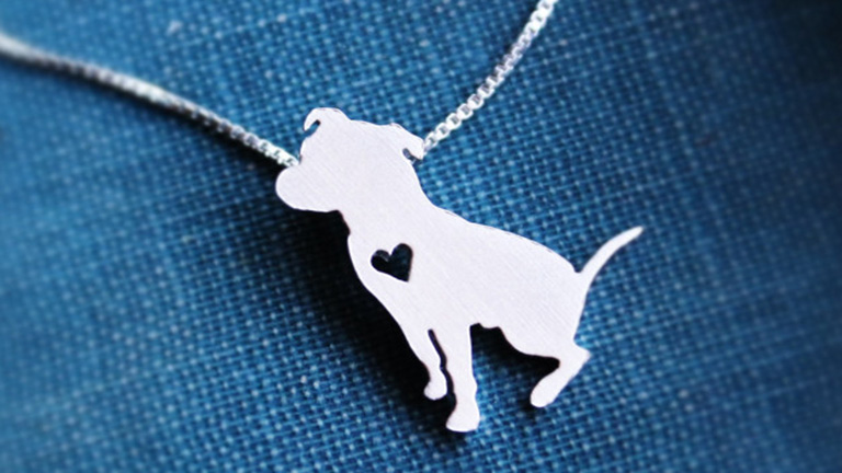 12 szuper cucc azoknak, akik imádják a pitbullokat