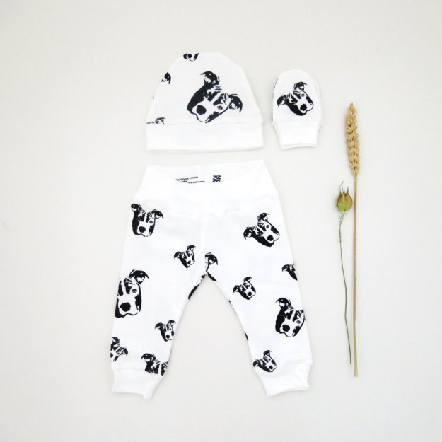 12 szuper cucc azoknak, akik imádják a pitbullokat