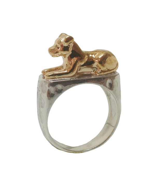 12 szuper cucc azoknak, akik imádják a pitbullokat