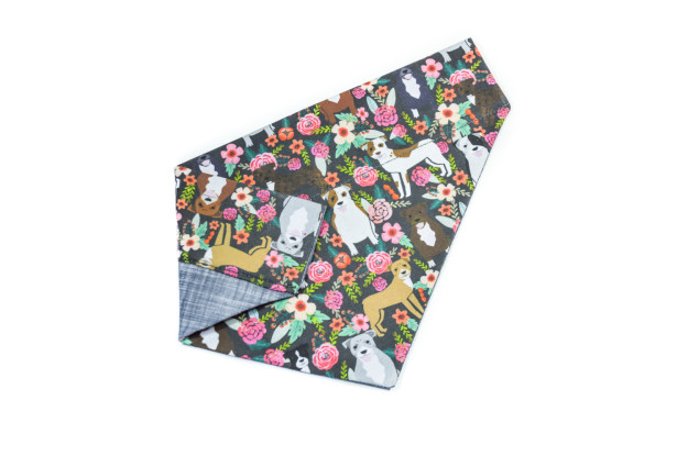 12 szuper cucc azoknak, akik imádják a pitbullokat