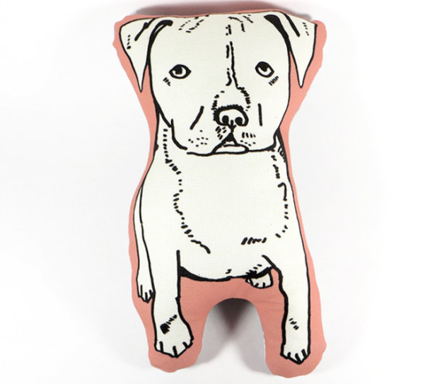 12 szuper cucc azoknak, akik imádják a pitbullokat