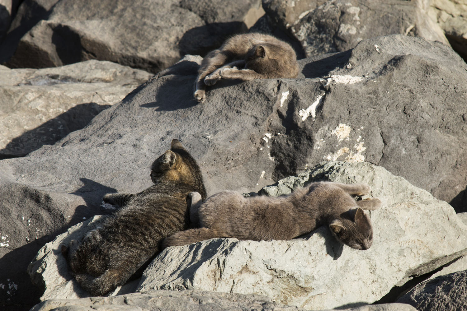 Gran Canaria Gran Canaria