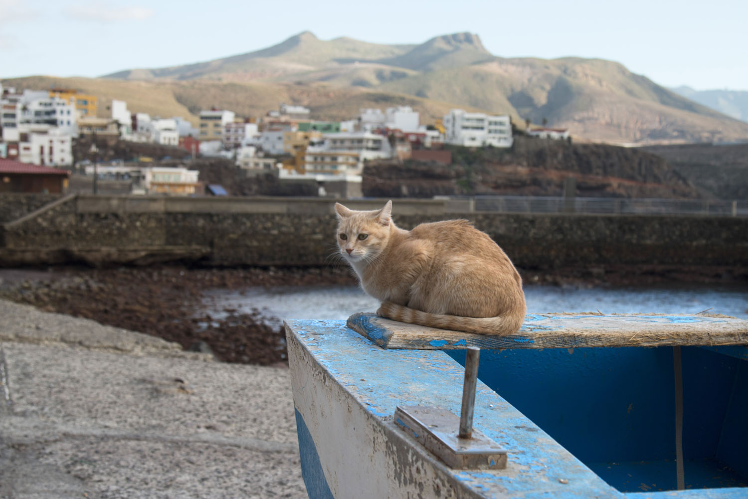 Gran Canaria Gran Canaria