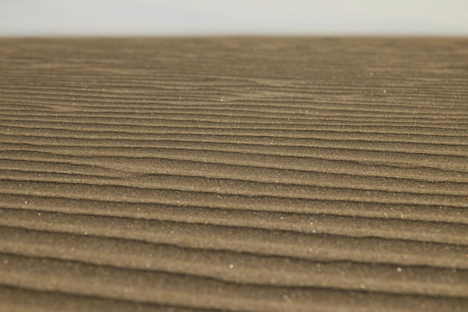 Gran Canaria Gran Canaria