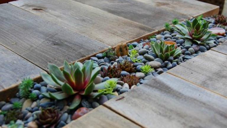 Kert trend 2017: vissza a természethez