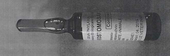 Életveszélyes kutyagyógyszer került forgalomba